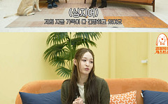 '신세계家' 애니, 강형욱 앞 역대급 긴장⋯"온 가족이 걱정, 욕먹을까 봐"