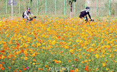 '한글날' 전국 구름 많고 일교차 15도⋯아침엔 내륙 안개 