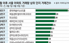 “투자보다 살 집?”…서울 아파트 거래 상위 단지, 돈줄 죄니 실수요로 몰렸다