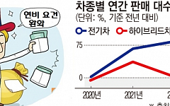 트럼프, 자동차 연비기준 완화…취임 첫날 ‘바이든 정책’ 파기