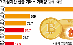 트럼프發 코인 르네상스…'갈라파고스 韓' 투자자 해외에 다 뺏긴다