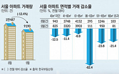 잘 나가던 서울 대형 아파트 대출 규제에 급제동?……집값·거래량 ‘뚝뚝’