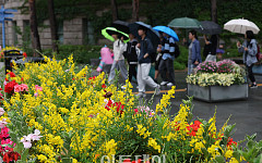 퇴근길 앞두고 쏟아지는 소나기 [포토]