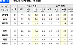 OECD "내년 韓 경제 2.1% 성장"…주요 기관 유일 2%대 유지