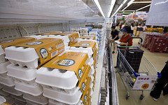 국민 식재료 계란, 50년 전엔 손님에게 대접하던 ‘귀한 음식’[에그리씽]