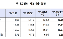 국내은행 자본비율 전분기 대비 하락…환율 영향에 RWA 증가