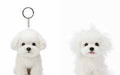 "솔직히 무섭네요"⋯뜨거운 '나노 바나나', 어느 정도길래 [이슈크래커]