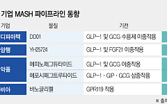K바이오, 블록버스터 잠재력 ‘MASH 신약’ 개발 잰걸음