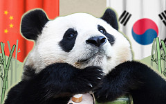 판다 추가 대여…푸바오가 돌아올 순 없나요? [해시태그]
