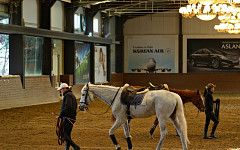 ‘백화점 큰손’ VIP 혜택, 더 촘촘하고 더 새롭게 강화