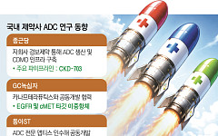 ‘성공하면 조 단위’…ADC 기술수출 성과에 전통 제약사들 눈독