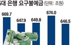 역대급 불장에…은행 대기자금 열흘 새 28조 원 증발