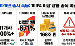 올해 코스피 100% 이상 상승 종목 11개...코스닥선 670% '폭등' 종목도