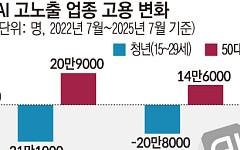 AI가 좁힌 노동시장 ‘입구’…청년 밀어내는 연공사회 [AI發 연공편향 공포]