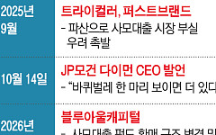 사모대출發 숨은 부실 수면 위로…‘제2의 금융위기’ 도화선 되나 [그림자대출의 역습 上-①]