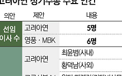 고려아연 주총 D-1…최윤범 이사회 수성 유력