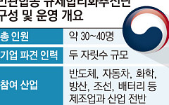 [단독] 삼성·SK 등 국무조정실 규제합리화추진단에 인력 파견한다 [규제혁신 ‘기업 DNA’ 수혈]