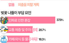 '혼잡·교통·돈' 걱정에…망설여지는 봄나들이 [데이터클립]