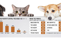 “20년 만기라더니 매년 재가입 부담”⋯ 펫보험, ‘평생 안심’은 아직 멀다 [펫보험의 역설]