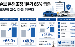 손보 분쟁조정 1분기 65% 급증⋯車보험 과실 다툼 커졌다