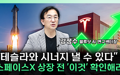 테슬라 운명 가를 머스크의 승부수⋯관건은 실적 [찐코노미]