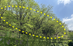 구민 안전 최우선…동작구, 서달산 산림환경 개선 완료