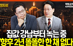 집값 새 흐름은 '시성비 주택'⋯박원갑 "강남 보고 집 사면 안 돼" [집땅지성]
