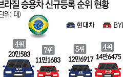 중남미 파고드는 BYD⋯브라질서 현대차 제쳤다