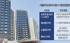 “두 채 받는 줄 알았는데”⋯서울 정비사업 곳곳 '1+1 분양' 갈등