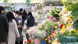 '우수 앞둔 꽃시장엔 봄기운 가득'