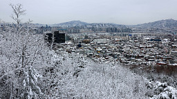 '폭설 내린 서울은 겨울왕국'