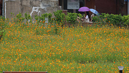 '무더위 속 성큼 다가온 가을'