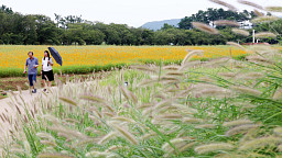 '한풀 꺾인 무더위, 바야흐로 가을'