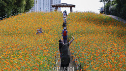 절기상 추분(秋分) 완연한 가을 날씨... '흐리고 일교차 큰 하루'