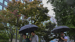 촉촉히 내리는 가을비