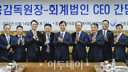 이찬진 금감원장, 회계법인 CEO 간담회