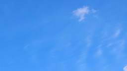 '하늘공원에서 즐기는 완연한 가을'