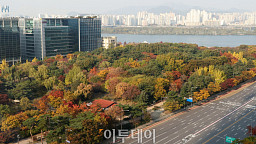 입동에도 온화한 가을 날씨…단풍 물든 여의도