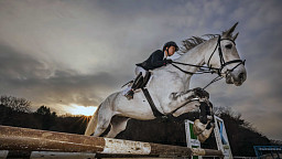 병오년, 한국경제 '발굽을 높이 들다'