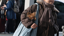 낮에도 영하권 '날씨'…한파, 언제까지?