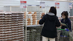 '계란 한개 400원, 가축전염병 확산에 축산물 물가 들썩'