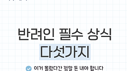 모르면 과태료...반려인 필수 상식 5가지