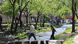 '벌써 여름인가'