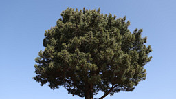 변덕스러운 날씨 속 한 박자 여유