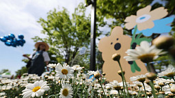 '꽃, 시간을 물들이다'... 2026 고양국제꽃박람회 첫 주말