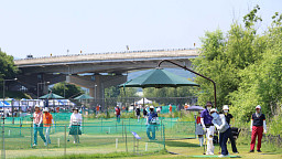 ‘제1회 비바브라보배 강남3구 파크골프대회’