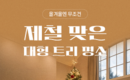 [카드뉴스] 크리스마스 시즌 추천 '대형 트리' 카페 6