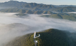 마음이 쉬어가는 사유원에서 108그루의 모과나무를 만나다