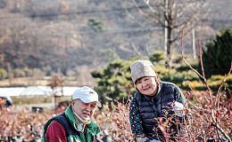 석두(石頭)라는 별명으로 통했던 이의 영리한 농사에 대해
