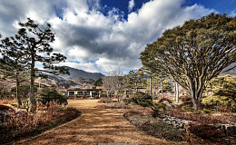 청솔과 위트로 연출한 도가(道家) 정원의 멋이라니…